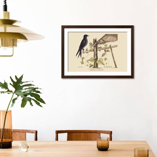 ART.COM Wall Art Print Purple Martin on Brown Frame by Mark Catesby, 44" x 32" - color: Brown Frame, size: 36"L x 24"W, style: Framed