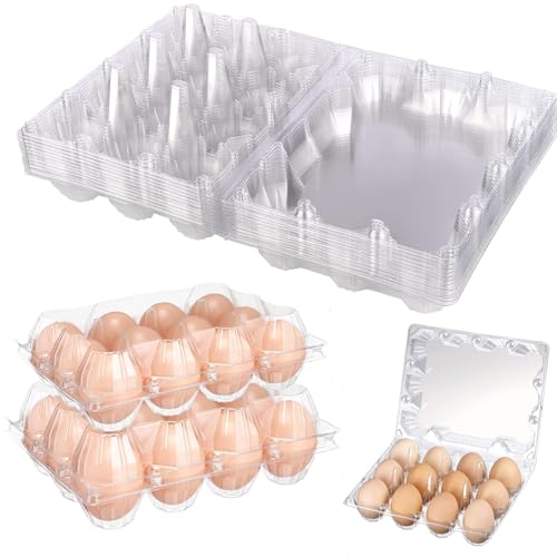 12 Packs Egg Cartons 4x3 Plastic Egg Carton Cheap Bulk 1 Dozen - size: Holds 12 eggs-12Pack