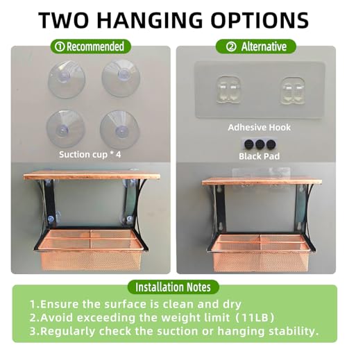 Window Bird Feeder Metal Bird Feeder for Outdoors Birdwatching | with 4 Strong Suction Cups and Adhesive Hook, Sturdy Rust-proof Gifts for Cats & Nature Lovers