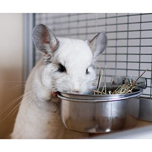 Stainless Steel Cup w/Holder - Durable Metal Mountable Food & Water Dish - Sugar Gliders, Hedgehogs, Chinchillas, Rats, Ferrets, Guinea Pigs, Rabbits, Squirrels, Birds (5 oz., Silver) - size: 5 oz.