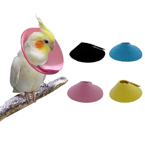 4 Pcs Bird Cone Collar, Pet Parrot Anti-bite Elizabethan Collars, Bird Collars for Feather Plucking for Lovebird Budgerigar Cockatiel Cockatoo Parrots (Mix Colors)