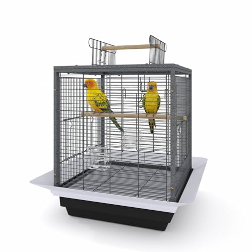 Garvee Small Bird Cage with Playground Stand, 20 Inch High Travel Bird Cage for Parrot, Parrot Carrier for Parakeet, Cockatiels, Budgies Medium Small Sized Birds