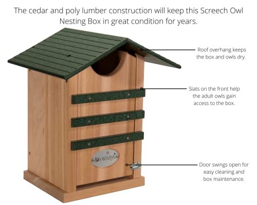Screech Owl House Cedar Nesting Box with Poly Lumber Roof, Saw-Whet Owl Box for Outside, Drainage Ventilation, Easy Cleanout, Made in USA, Green - color: Green