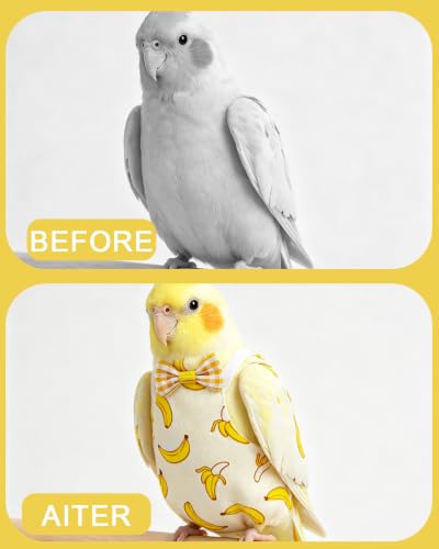 3Pack Bird Diaper, Reusable Parrot Nappy & 50 Absorbent Liners Bird Diapers | Cute Fruit Pattern Bird Diapers