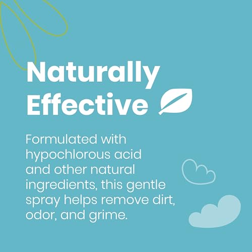Bird Feeder & Birdhouse Cleaner, Natural Bird-Friendly, 32oz Spray, 2-Pack | Hypochlorous Acid (HOCl) Multi-Surface Cleaner, Remove Droppings and Dirt, Non-Toxic, Fragrance-Free, Safe for All Birds - size: 32 Fl Oz (Pack of 2)
