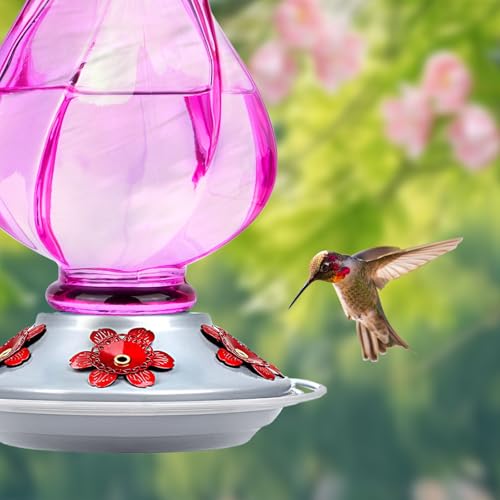 Glass Hummingbird Feeders for Outdoors Hanging, Ant Moat, Purple | 22oz, 5 Feeding Ports, Leak Proof, Weather Resistant, Easy Refill & Clean, Garden & Yard Decor, Gifts for Women Men Mom Dad - color: Ruby Purple