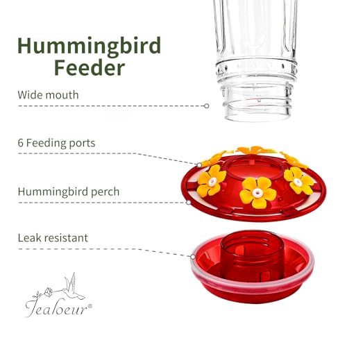 Jealoeur Hummingbird Feeder for Outdoors Hanging, 18 OZ Humming Birds Feeders with 6 Bee Guard Feeding Ports & Built-in Ant Moat, Easy to Clean, Durable Outdoor Garden Decor(Clear B 2 Pack) - color: Clear Red BB