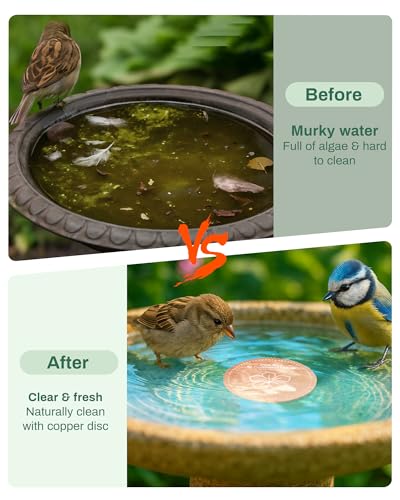 OICEME Bird Bath Purification Disk Pure Copper Outside Winter Solar Power Birdbath Wild Hummingbird Pedestal Fountain Cleaner Humming Feeder Cage Dispenser Heater Ground Safe Garden Lover Women Gift - color: Copper Flower