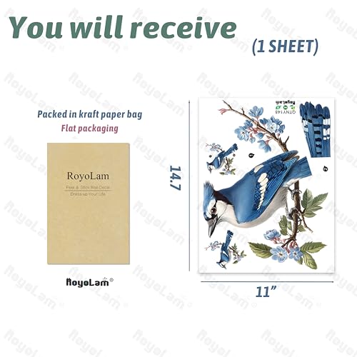 Blue Jay On A Branch Bird Wall Decal Animal Wall Sticker | Removable, waterproof, vinyl peel and stick wall art for nursery, baby room, classroom, preschool, living room, and playroom