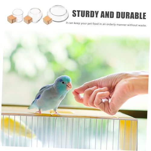 Angoily Bird Feeding Dish Cups Set with Splash-Proof Glass Bowls and Bamboo Fixation for Mess-Free Water Feeder and Food Bowl Suitable for Parakeet Cockatiel Small Birds