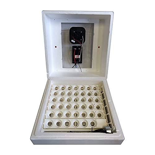 Farm Innovators 2450 Heated Digital Circulated Air Incubator with Automatic Egg Turner for Improved Egg Hatching of Up To 41 Eggs, White (2 Pack)