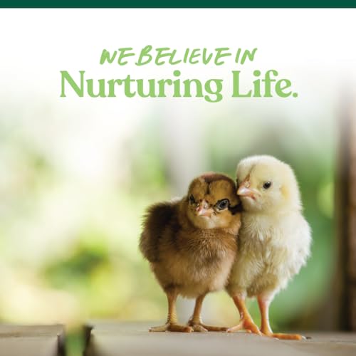 Manna Pro Medicated Chick Starter Grower Feed, Amprolium & Protein, 5 lb | Complete Chick Feed Crumbles, Amprolium for Coccidiosis Prevention, High Protein Nutrition for Growing Chicks, Made in USA - size: 5 Pound (Pack of 1)