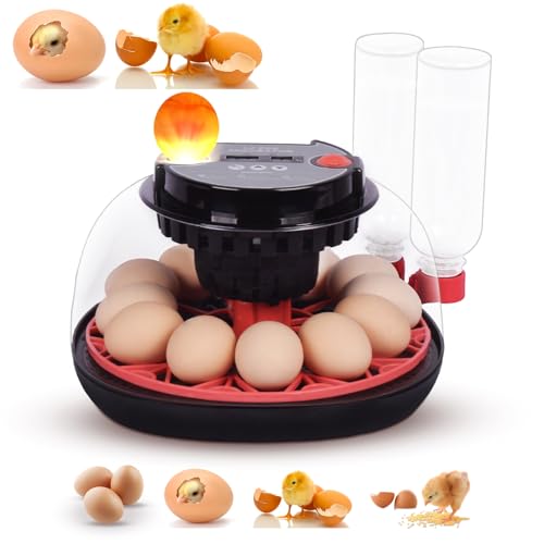 Incubators for Hatching Eggs with Automatic Egg Turning,Temperature & Humidity Control, Come with Egg Candler, External Water Bottles 360° Clear View Incubator for Hatching Chicken Eggs Quail Duck