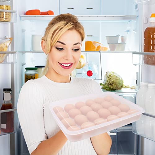 Anyumocz 2 Pack Covered Egg Holder,Clear Egg Holder Storage Container,Stackable Plastic Refrigerator Egg Trays for Deviled Egg,Protect and Keep Fresh(48 Eggs) - style: 1-Layer 48eggs