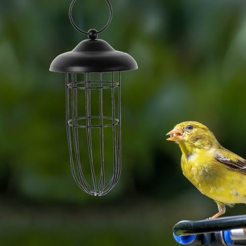 Parakeet Millet Holder Wire Feeder Millet Holder Treat Food for cage Wire Cages for feeders Squirrel Birds Supplies Wild