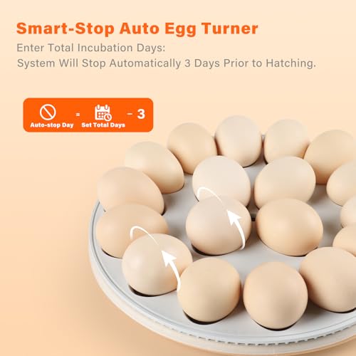 Egg Incubator for Hatching Eggs: Automatic Turner ±1°F Temperature | Auto Humidity Control - 21-Day Stable Hatching for Chickens - 12-18 Eggs Per Batch - No Assembly