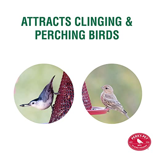 Perky-Pet Red Cardinal Wild Bird Feeder-2.5 lb Seed Capacity,Holds Up to 15 Birds Simultaneously,Metal Hanging Feeder for Outdoors,Collapsible Mesh Design,Built-In Hook&Circular Tray,C00322(Pack of 6) - size: 6 Pack