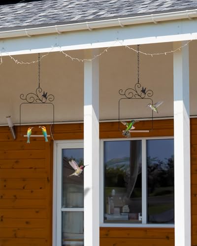PACETAP Hummingbird Swings and Perches Metal Frame 2 Pack, Wild Bird Swing Outdoor Bird Perch with Wooden Dowel and 2 Hanging Chain for Indoor, Outdoor, Trunk, Lawn, Patio, Garden (2 Hummingbirds) - size: 2 Pack Hummingbird