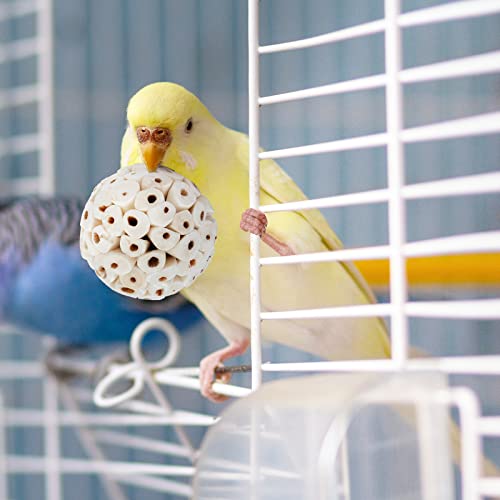 andwe Bird Toy Sola Ball Chew Shredding Toy, Pack of 6 | Fun & Easy to Shred, Natural Soft Foraging Ball For Cockatiel Conure Quaker Parrot Budgie Parakeet - size: Style 1 (Pack of 6)