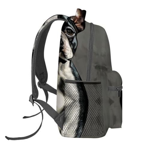 Boston Terrier Backpack Travel Backpacks Laptop Rucksack,School Bookbag for Women Kids Boys Girls,Dog Back Pack Accessories Bags,Ideal Gifts for Work, Outdoor Adventures - color: Color38