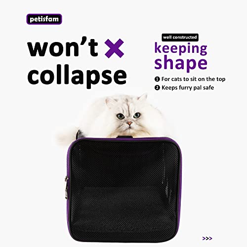 Soft Pet Carrier for Large and Medium Cats, 2 Kitties, Small Dogs. Easy to Get Cat in, Great for Cats that Don't Like Carriers (Black) - color: Black