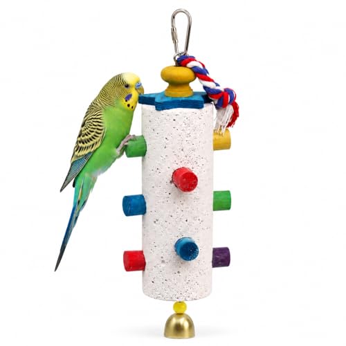 Hanging Bird Chew Toy for Small & Medium Birds, Textured Chewing Stone with Colorful Wooden Pegs, Cotton Rope & Bell, Bird Cage Accessories for Parakeets and Cockatiels