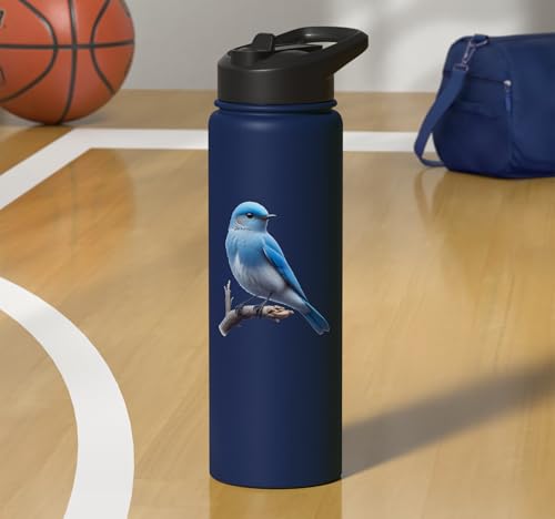 Bird Series. Mountain Bluebird. Stainless Steel Insulated Water Bottle - color: Navy Blue