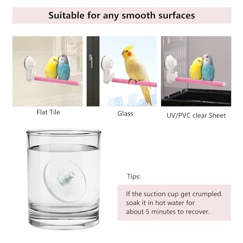 2Pcs Suction Cup Bird Perch,Wooden Parrot Window/Mirror/Car/Travel/Shower Perches Stand Quartz Portable Parakeet Grinding Stick Training Toys for Small and Medium Birds(Pink) - color: 2 Pcs-Pink Sticks