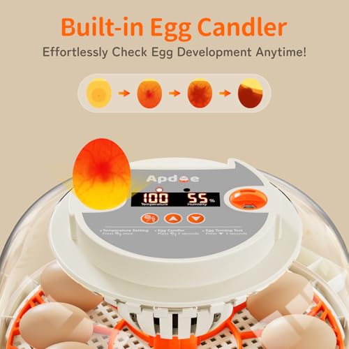APDOE Egg Incubators for Hatching Eggs, Temperature and Humidity Control, Automatic Egg Turning, Egg Candler, External Water Bottle, Air Vent, for Chicken, Duck & Quail Eggs, 12 Eggs - color: Orange, size: 12 Eggs