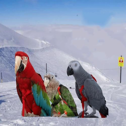 Pet Bird Harness Leash, Lightweight Bird Flying Harness Anti Bite Bird Harness Leash for Parrots Pigeons Lovebird Red - size: S