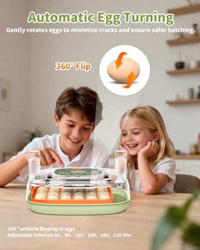 24 Egg Incubator with Automatic Turner Poultry Hatcher | Digital Temp Humidity Monitor, Low Humidity Alarm, External Water Bottles, Built-in Egg Candler for Chicken, Duck&Quail Eggs - color: Green