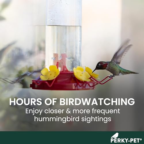 Perky-Pet Window Mount Hummingbird Feeder, 8 oz Nectar Capacity | 3 Bee Guard Ports, Suction Cup & Removable Perches, Plastic Shatter-Resistant Bottle for Outdoor Backyard Bird Watching, 217 - size: 1 Pack