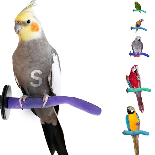Sweet Feet and Beak Safety Pumice Bird Perch, Small Pedicure Perch, Purple | Plastic Bird Nail Trimming Perch, Pumice Coated Surface for Healthy Feet and Beak, 8" Lightweight Perch, Available In 5 Sizes - color: Purple, size: Small 8"