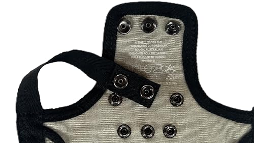 DOWN UNDER OUTDOORS 2 Medium-Large Chicken Saddles (Insulated Light Gray) | Adustable Straps, Chicken Apron, Poultry Saver, Pet Supplies, Including Shoulder Covers, Protection from the Cold - color: Insulated Light Grey