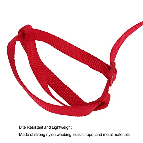 Elastic Parrot Harness Leash Bird Leash Bite Proof Harness Adjustable Parrot Flying Training Rope with Metal Hook Nylon Webbing for Cockatiels Walking (XL) - size: XL