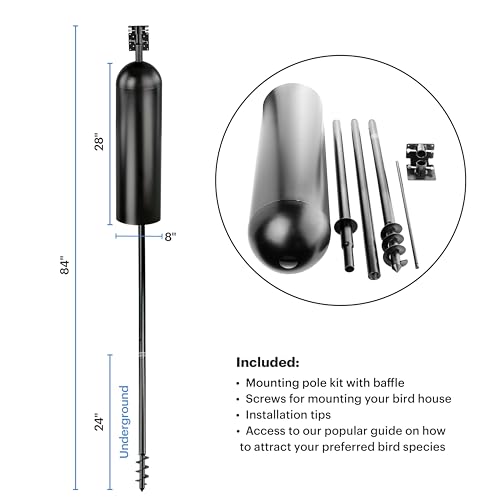 WHITEHORSE Bird House Pole with Baffle- A Professional Squirrel Proof Bird Feeder Pole - Very Sturdy Against Strong Winds - Bird House Poles for Outdoors - Pole for Bird Feeders - Bluebird House Pole - style: Mounting Pole with Baffle