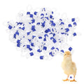 M METERXITY 100-Pack Adjustable Chick Leg Bands, 0.79" x 0.2" Silicone Chicken Leg Brace for Chicks/Ducks/Birds [Blue] Poultry Leg Bands - color: Blue