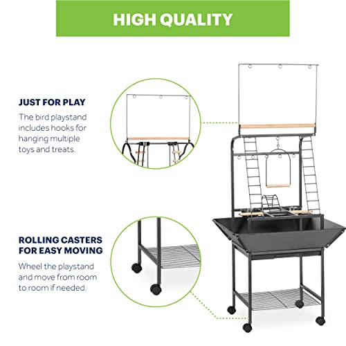 Prevue Pet Products Small Parrot Playstand with Wheels, Bird Stand Activity Play Center with Perches and Ladders, Indoor Outdoor Playground for Birds with Swing, Black Hammertone Finish - size: Small