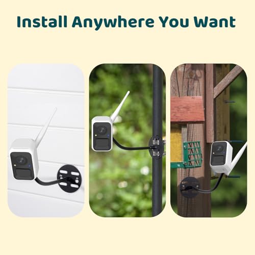 NETVUE by Birdfy Upgraded Smart Bird Feeder Camera, Solar Powered, Auto Bird Video Capture, Instant Notifications, AI Identify 6000+ Species