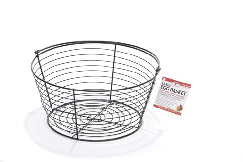Little Giant® Large Egg Basket Kit | Chicken Egg Basket with Ceramic Eggs | Egg Collecting Basket Kit (White Eggs, Large Basket (13 Inches)) - color: White Eggs, size: Large Basket (13 Inches)