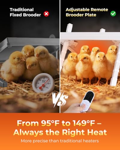 12"x12" Chick Heat Plate with Remote Precise Temperature Control | Adjustable height and angle, anti-tip frame, 30W low-energy heating, supports up to 20 chicks, ideal for indoor brooding