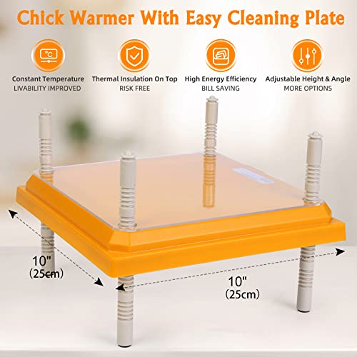 Brooder Heater for Chicks Height Adjustable: Heating Plate with Easy- Cleaning Plate Poultry Coop Warmer 10" x 10" for 15 Chicks - color: Orange-10x10