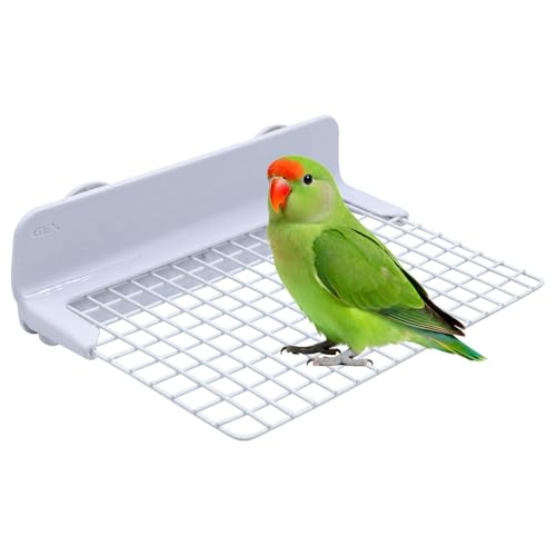 Bird Accessories for Cages, Iron Wire Standing Platform with Installation Accessories for Cage, Parrot Perch for Budgies, Cockatiels, Lovebirds, Green Cheeks, Small to Medium Birds