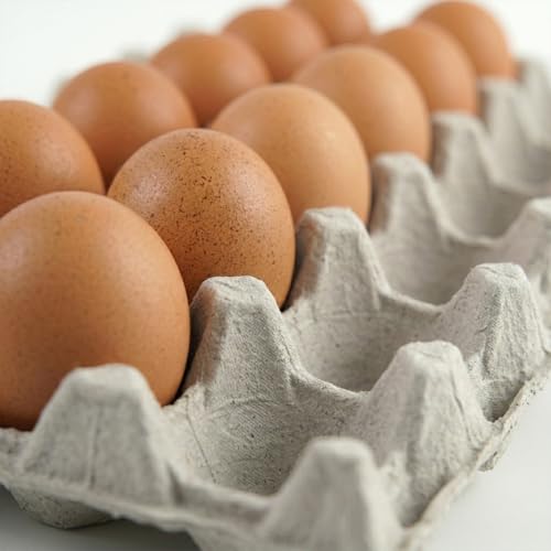 Egg Flat Cartons 30 Count, Pulp Fiber Egg Flats Bulk, Stackable Egg Trays for Farm Storage, Shipping & Packaging, Biodegradable & Recyclable Egg Carton Trays (Pack of 15)
