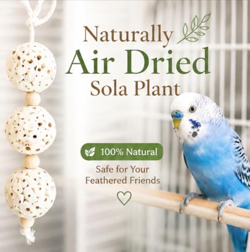 Shred and Destroy Bird Toy for Small Birds - Budgies, Lovebirds - Natural Sola Ball Hanging Chew Toy - 2 Pack - Boredom Buster Cage Toy