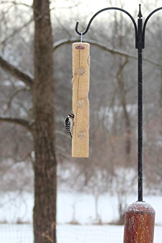 Large Cedar Suet Log Feeder | For Woodpeckers and Chickadees