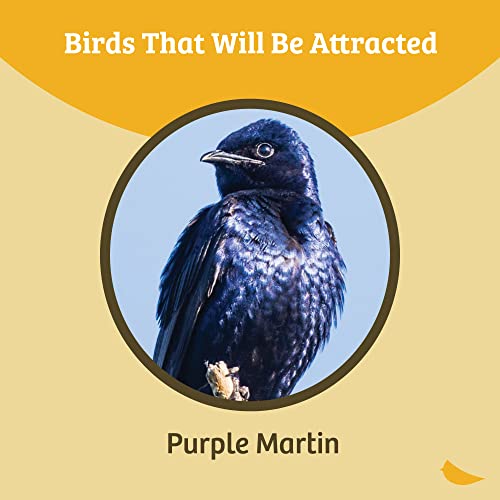 Birds Choice Premium Aluminum Purple Martin House – 8 Room, 2 Floor Birdhouse with Starling Resistant Entrance Holes, Ventilated Roof & Easy Cleaning, Unassembled | Starling Resistant Entrance Holes, Ventilated Roof, Easy Access for Cleaning, Ships Unasse