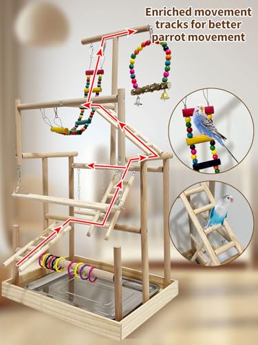 5 Layers Large Bird Playground Natural Wood Parrot Play Stand Birds Perch Stand Gym Parakeet Birds Cage Accessories with Removable Tray and 4 Stainless Steel Cups for Cockatiel Cockatoos Finch