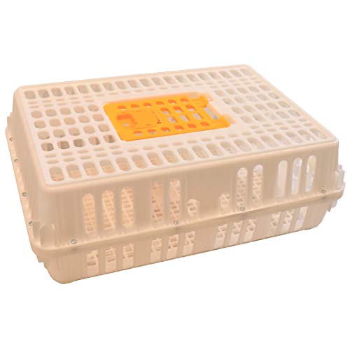 29x21x10.5 Poultry Transport 4H Show CAGE COOP Crate Chicken