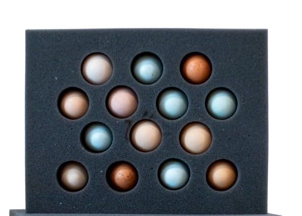 Generic Southern Feathers Foam Egg Shippers 5pcs (14 Hole Standard Size Chicken Eggs), Charcoal